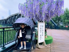 -武汉知音号