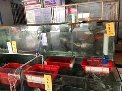 水产区-辉记虾塘海鲜农庄