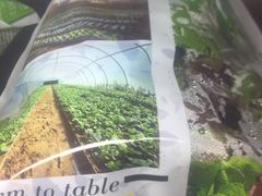 -Ohkajhu Organic Farm Sansai