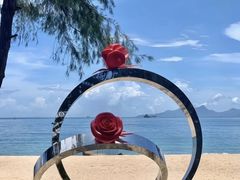 -玫瑰海岸文化旅游度假区