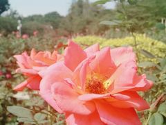 -人民公园(罗湖区)