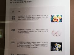 -西安大唐西市博物馆
