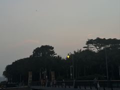-深圳湾公园(南山区)