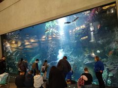 -西雅图水族馆