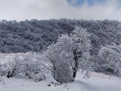 -太子岭滑雪场