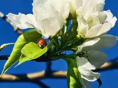 -绥化市森林植物园