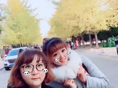 -辽宁大学(崇山校区)