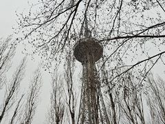 -龙塔