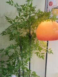 -变美丽半永久纹眉连锁·机器野生眉•洗眉