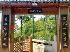 -长沙黑麋峰国家森林公园