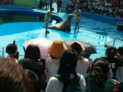 -华夏文旅海洋公园