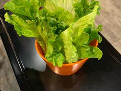 -古乐牛香·鲜牛肉牛杂火锅(五一中路店)