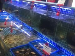 水产区-必点海鲜·鲅鱼水饺(鞍山西道店)
