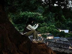 -杨家堂村
