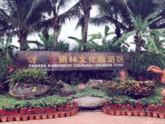 -呀诺达热带雨林