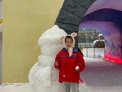 -世界之窗阿尔卑斯冰雪世界