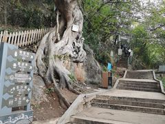 -抚仙湖禄充风景区