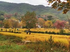 -塔川景区
