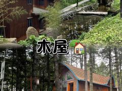 -洛阳白云山景区