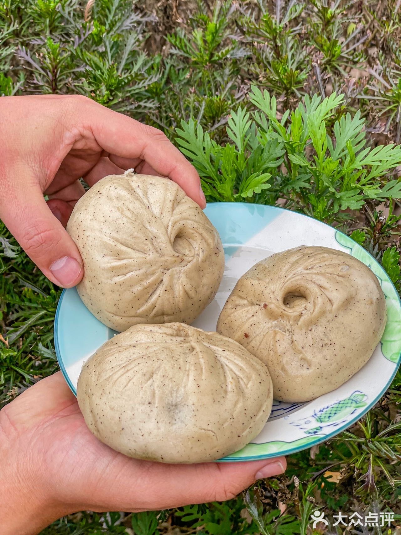 巴比出马兰头青团了！还有蒲公英荞麦包
