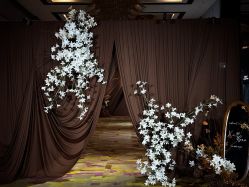 -Sugar苏格婚礼策划工作室