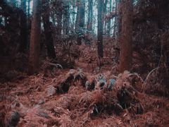 -同里国家湿地公园