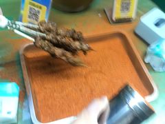 -景泰马记电烤串(景泰店)