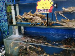 -蚝专家(北滘店)