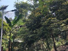 -凤栖山
