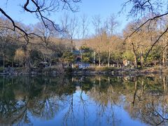 -灵谷景区