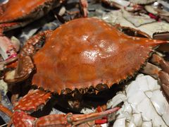 -海天盛宴潮汕蒸汽海鲜高端自助形象店
