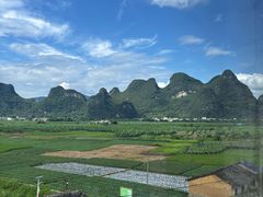 -银峰农庄·特色烧鸡·鲜无花果浸鸡
