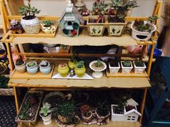 -Kitchen·Y洋厨房西餐厅(王府壹号店)