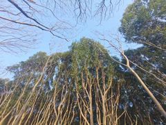 -同里国家湿地公园