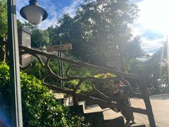 -神光山国家森林公园