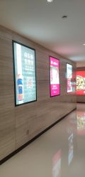 -未来动物城主题公园(正弘城店)