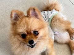 -怪兽屋·羊驼·猫咖·狗咖(俊华广场店)