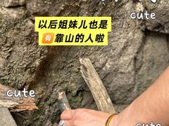 -香炉山国家森林公园