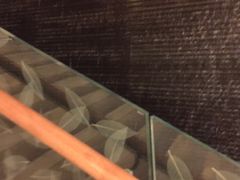 -营口金泰珑悦海景大酒店