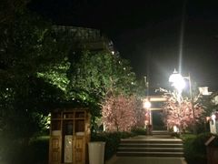 -郑州银基黄帝宫御温泉