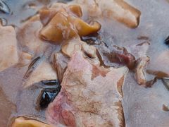 -逍遥镇刘相五胡辣汤豆沫馆(康复中街店)