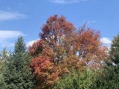 -长春世界雕塑园冰雪艺术天地