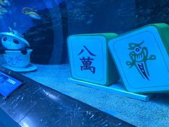 -海合安成都极地海洋公园