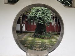 -上海醉白池公园