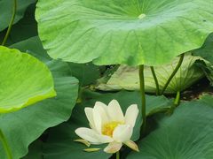 -滆湖低碳生态公园