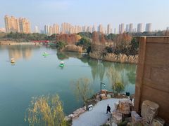 -青枫公园