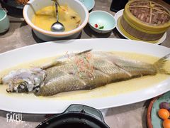 苏帮太湖白鱼-苏帮袁Sue Cuisine(南开大悦城店)