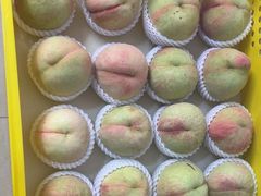 -老袁家蜜桃农场·阳山水蜜桃