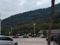 -羚羊峡古栈道森林公园