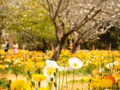 -名花谷生态庄园